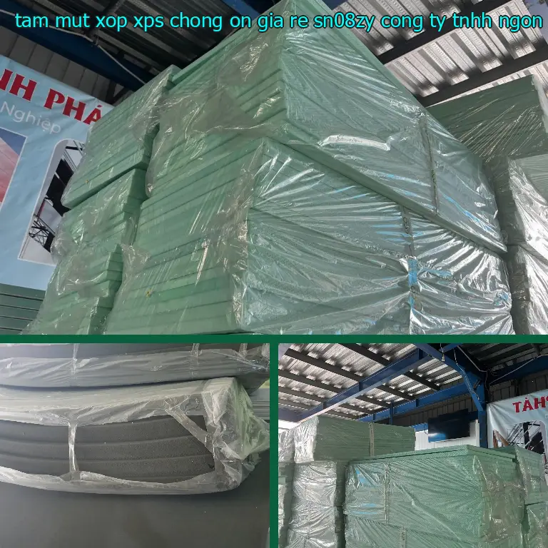 Nhà cung cấp tấm mút xốp XPS chống ồn giá rẻ SN08ZY: Công ty TNHH Ngọn Hải Đăng Nhà cung cấp tấm mút xốp XPS chống ồn giá rẻ SN08ZY: Công ty TNHH Ngọn Hải Đăng