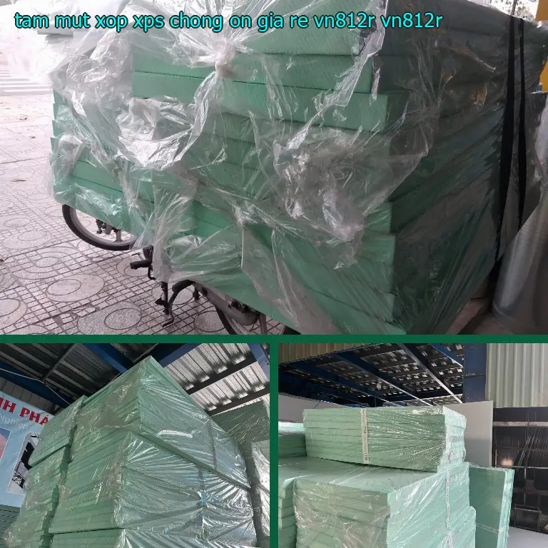 Model tấm mút xốp XPS chống ồn giá rẻ VN812R: VN812R Model tấm mút xốp XPS chống ồn giá rẻ VN812R: VN812R