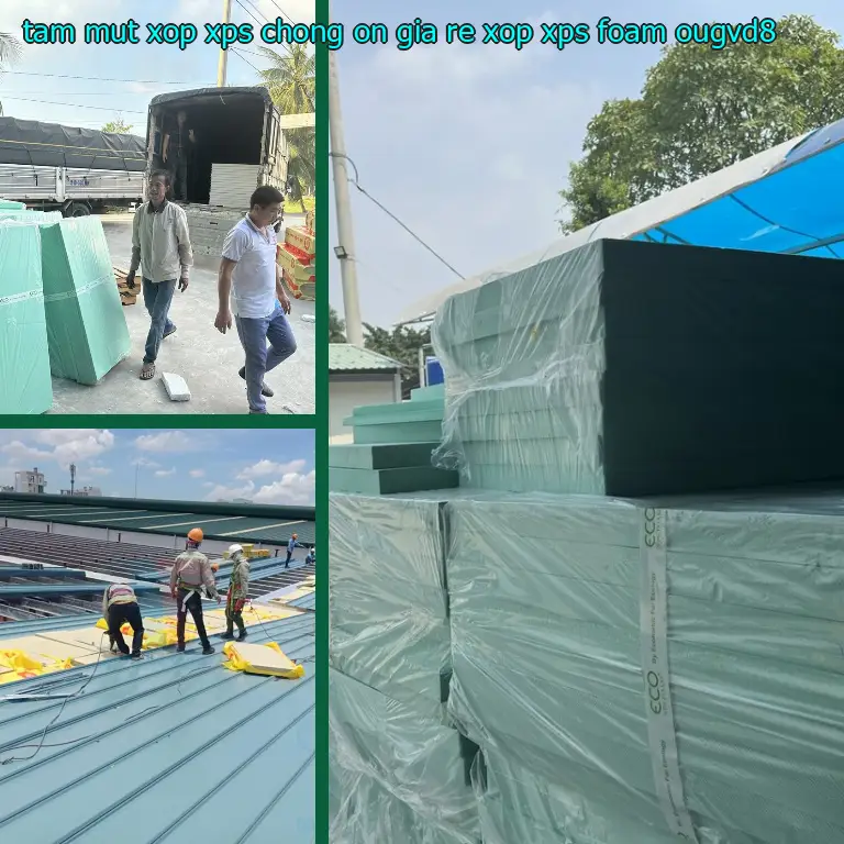 Model tấm mút xốp XPS chống ồn giá rẻ Xốp XPS Foam: OUGVD8 Model tấm mút xốp XPS chống ồn giá rẻ Xốp XPS Foam: OUGVD8