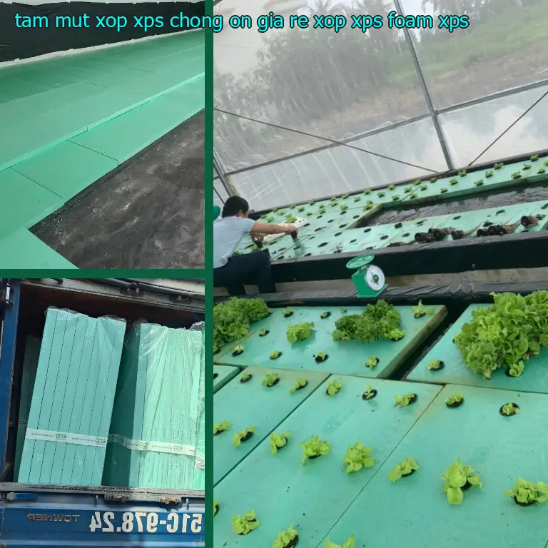 Chất liệu tấm mút xốp XPS chống ồn giá rẻ Xốp XPS Foam: XPS Chất liệu tấm mút xốp XPS chống ồn giá rẻ Xốp XPS Foam: XPS