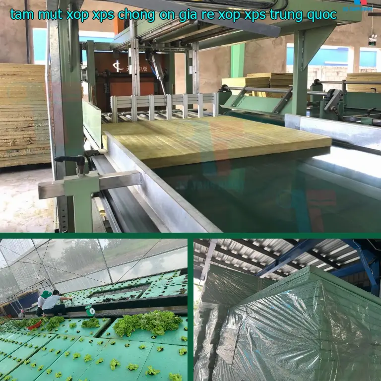 Xuất xứ tấm mút xốp XPS chống ồn giá rẻ Xốp XPS: Trung Quốc