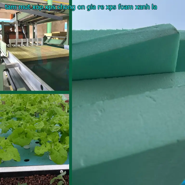 Màu sắc tấm mút xốp XPS chống ồn giá rẻ XPS Foam: Xanh lá Màu sắc tấm mút xốp XPS chống ồn giá rẻ XPS Foam: Xanh lá