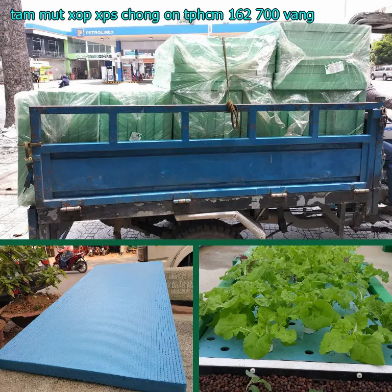 Màu sắc tấm mút xốp XPS chống ồn TpHCM 162.700₫: Vàng