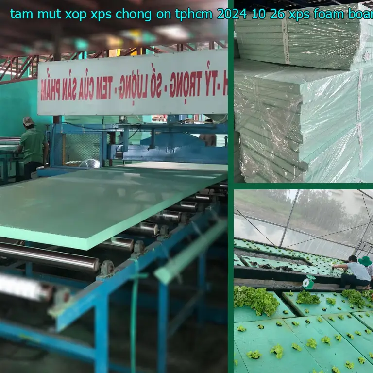 Danh mục tấm mút xốp XPS chống ồn TpHCM 2024-10-26: XPS Foam Board Danh mục tấm mút xốp XPS chống ồn TpHCM 2024-10-26: XPS Foam Board