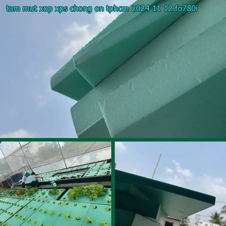 Model tấm mút xốp XPS chống ồn TpHCM 2024-11-12: FO780I