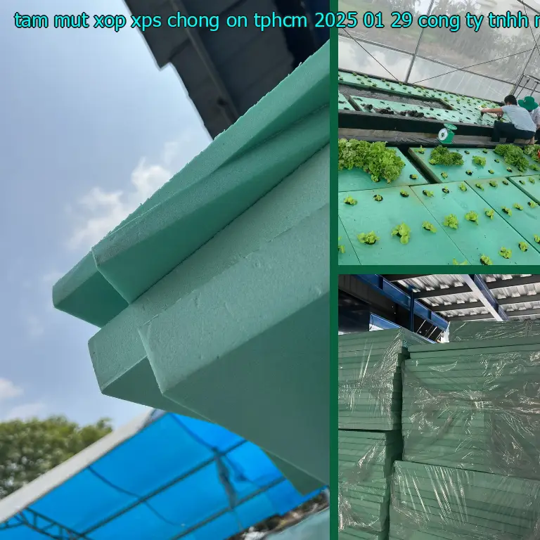 Nhà cung cấp tấm mút xốp XPS chống ồn TpHCM 2025-01-29: Công ty TNHH Ngọn Hải Đăng Nhà cung cấp tấm mút xốp XPS chống ồn TpHCM 2025-01-29: Công ty TNHH Ngọn Hải Đăng