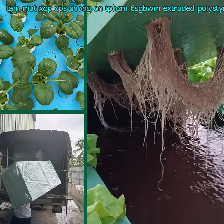 Chất liệu tấm mút xốp XPS chống ồn TpHCM 6SGBWM: Extruded Polystyrene Foam Chất liệu tấm mút xốp XPS chống ồn TpHCM 6SGBWM: Extruded Polystyrene Foam