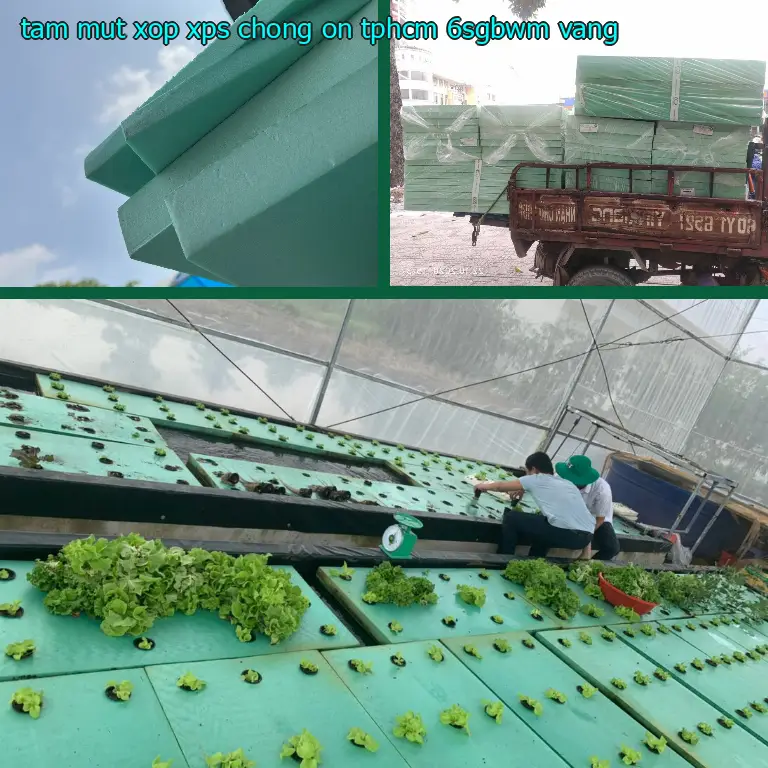 Màu sắc tấm mút xốp XPS chống ồn TpHCM 6SGBWM: Vàng Màu sắc tấm mút xốp XPS chống ồn TpHCM 6SGBWM: Vàng