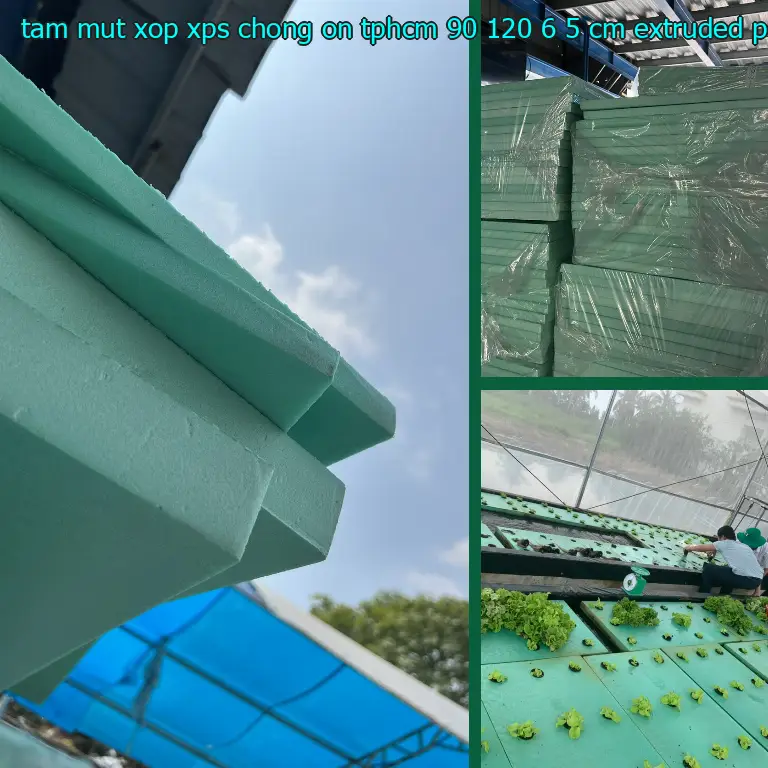Chất liệu tấm mút xốp XPS chống ồn TpHCM 90*120*6.5 cm: Extruded Polystyrene Chất liệu tấm mút xốp XPS chống ồn TpHCM 90*120*6.5 cm: Extruded Polystyrene
