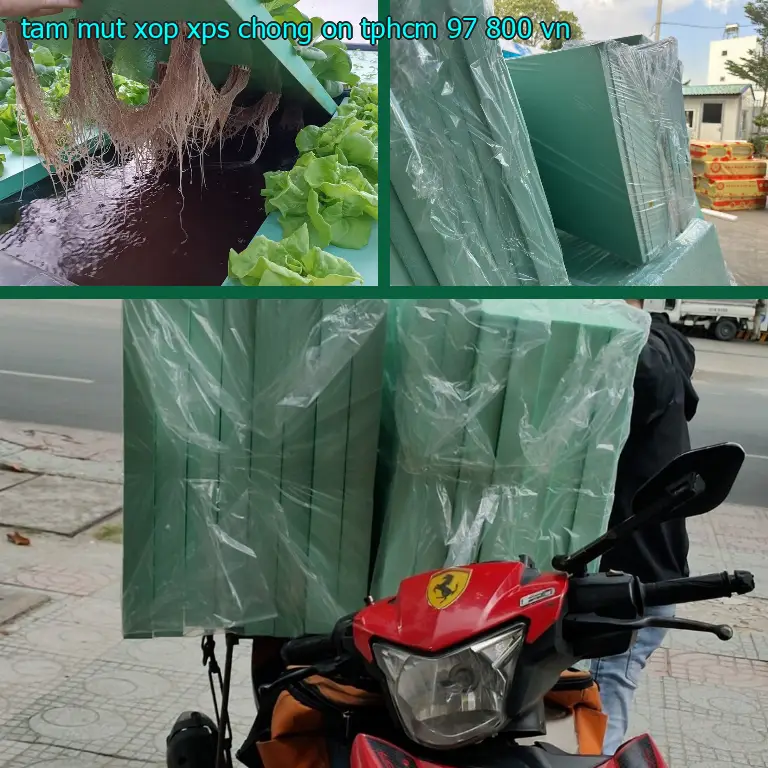 Xuất xứ tấm mút xốp XPS chống ồn TpHCM 97.800₫: VN