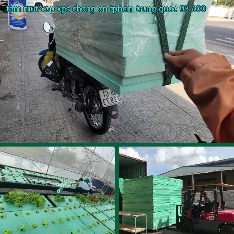 Đơn giá tấm mút xốp XPS chống ồn TpHCM Trung Quốc: 93.100₫ Đơn giá tấm mút xốp XPS chống ồn TpHCM Trung Quốc: 93.100₫