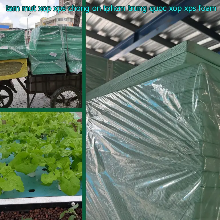 Danh mục tấm mút xốp XPS chống ồn TpHCM Trung Quốc: Xốp XPS Foam Danh mục tấm mút xốp XPS chống ồn TpHCM Trung Quốc: Xốp XPS Foam