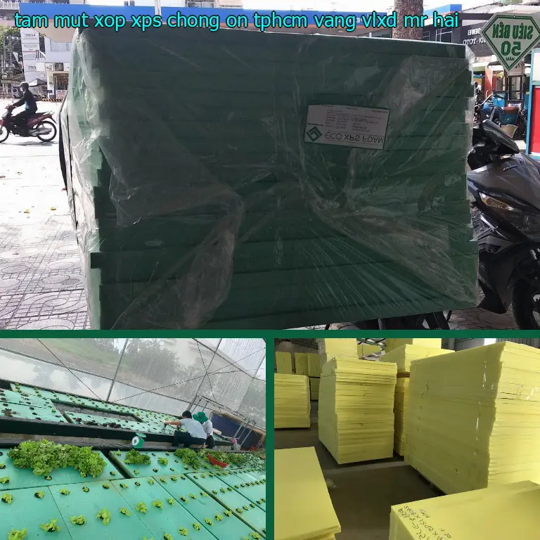 Nhà cung cấp tấm mút xốp XPS chống ồn TpHCM Vàng: VLXD Mr.HẢI Nhà cung cấp tấm mút xốp XPS chống ồn TpHCM Vàng: VLXD Mr.HẢI