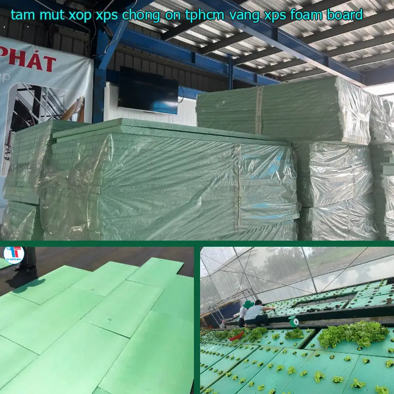 Danh mục tấm mút xốp XPS chống ồn TpHCM Vàng: XPS Foam Board Danh mục tấm mút xốp XPS chống ồn TpHCM Vàng: XPS Foam Board