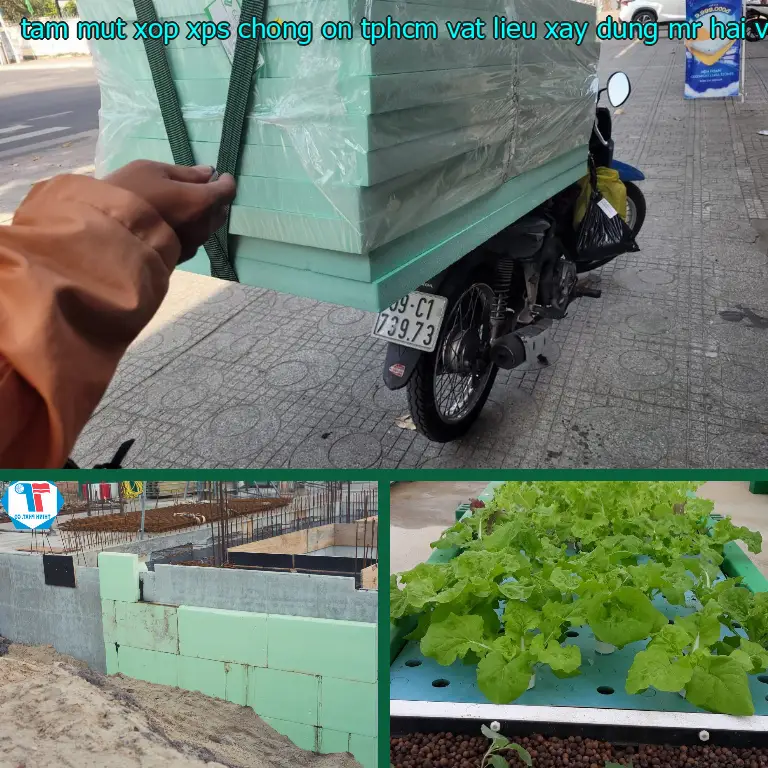 Nhà cung cấp tấm mút xốp XPS chống ồn TpHCM Vật Liệu Xây Dựng Mr.HẢI: Vật Liệu Xây Dựng Mr.HẢI Nhà cung cấp tấm mút xốp XPS chống ồn TpHCM Vật Liệu Xây Dựng Mr.HẢI: Vật Liệu Xây Dựng Mr.HẢI