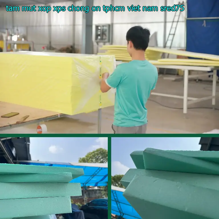 Model tấm mút xốp XPS chống ồn TpHCM Viet Nam: SRED75 Model tấm mút xốp XPS chống ồn TpHCM Viet Nam: SRED75
