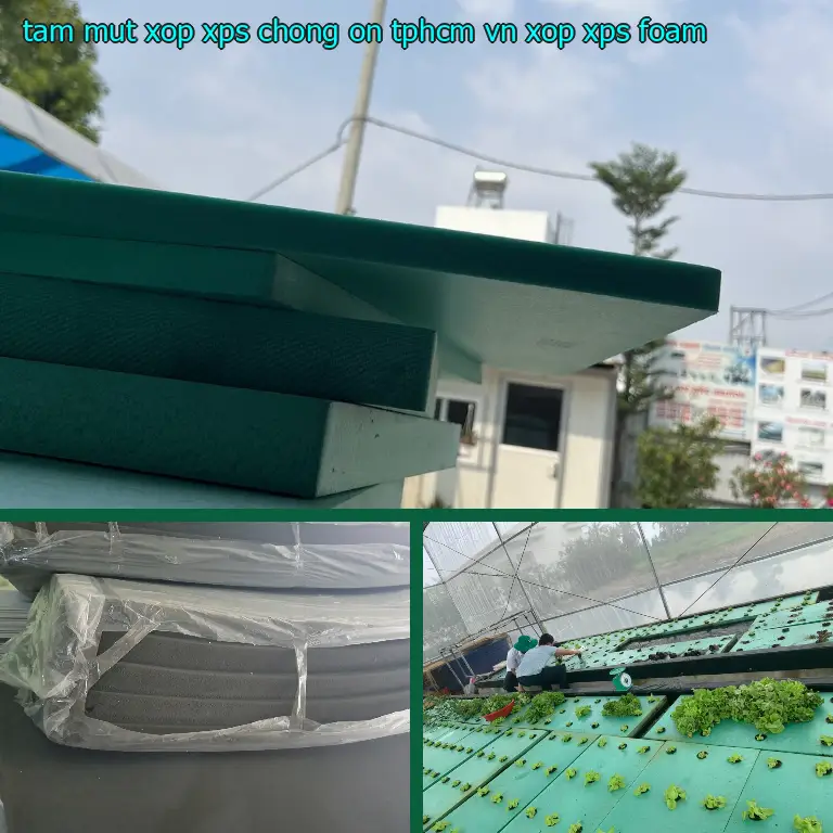 Danh mục tấm mút xốp XPS chống ồn TpHCM VN: Xốp XPS Foam