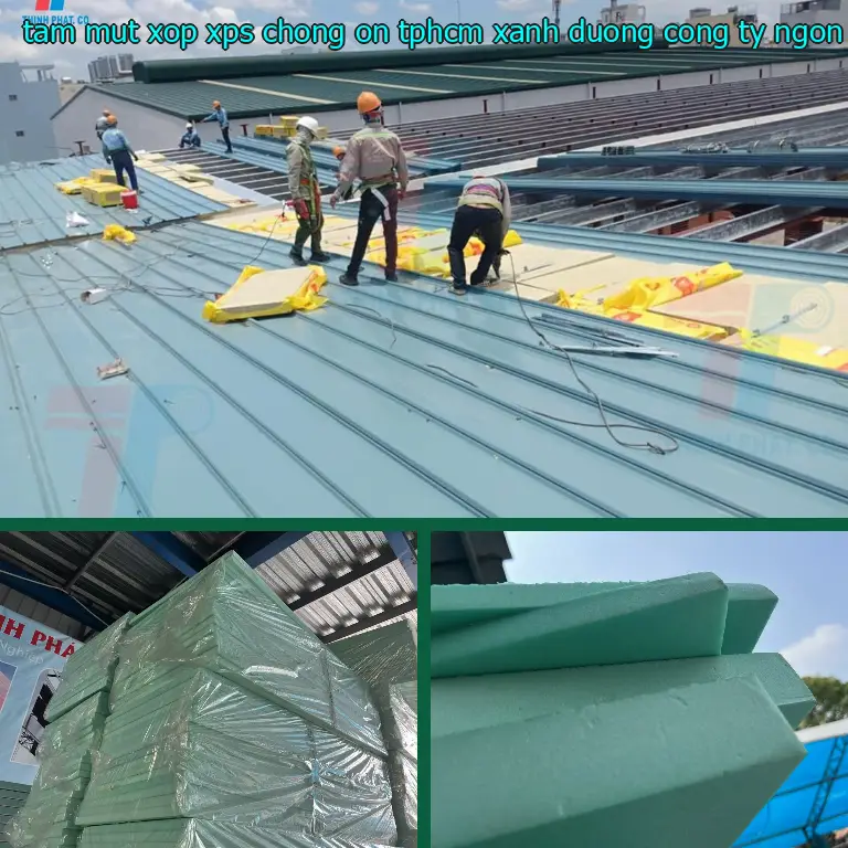Nhà cung cấp tấm mút xốp XPS chống ồn TpHCM Xanh dương: Công ty Ngọn Hải Đăng Nhà cung cấp tấm mút xốp XPS chống ồn TpHCM Xanh dương: Công ty Ngọn Hải Đăng