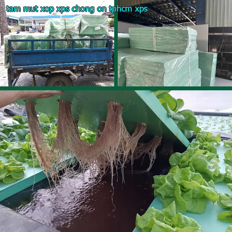 Tấm mút xốp XPS chống ồn TpHCM XPS