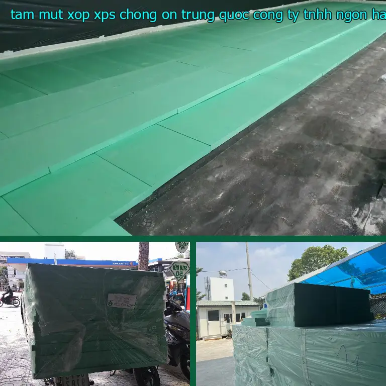 Nhà cung cấp tấm mút xốp XPS chống ồn Trung Quốc: Công ty TNHH Ngọn Hải Đăng Nhà cung cấp tấm mút xốp XPS chống ồn Trung Quốc: Công ty TNHH Ngọn Hải Đăng