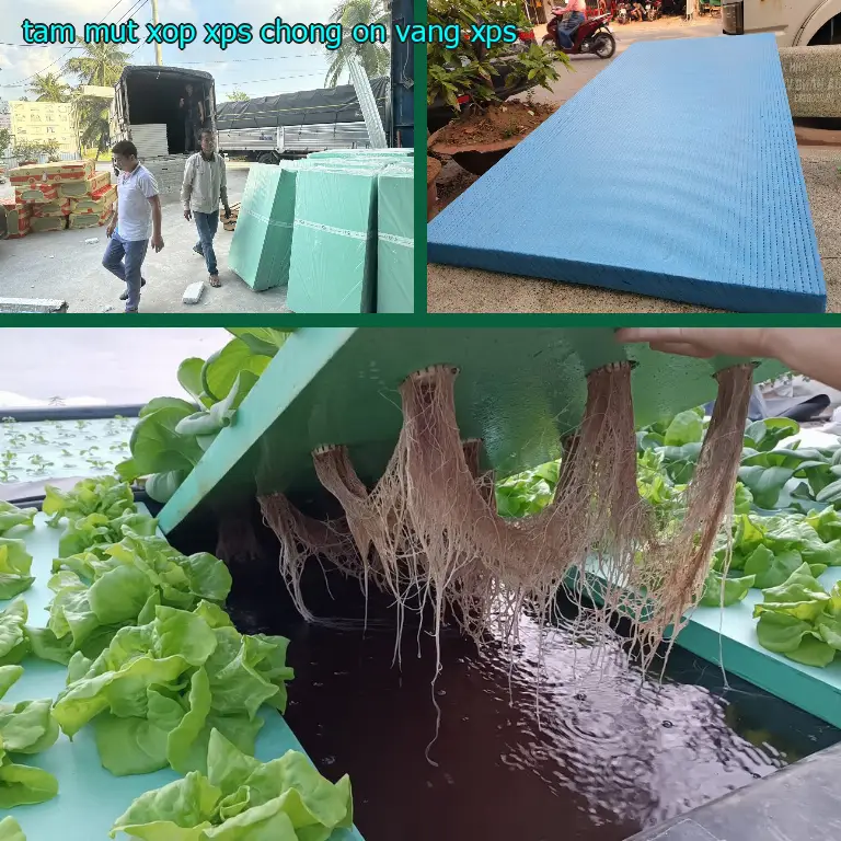 Chất liệu tấm mút xốp XPS chống ồn Vàng: XPS Chất liệu tấm mút xốp XPS chống ồn Vàng: XPS