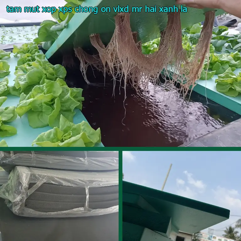 Màu sắc tấm mút xốp XPS chống ồn VLXD Mr.HẢI: Xanh lá Màu sắc tấm mút xốp XPS chống ồn VLXD Mr.HẢI: Xanh lá