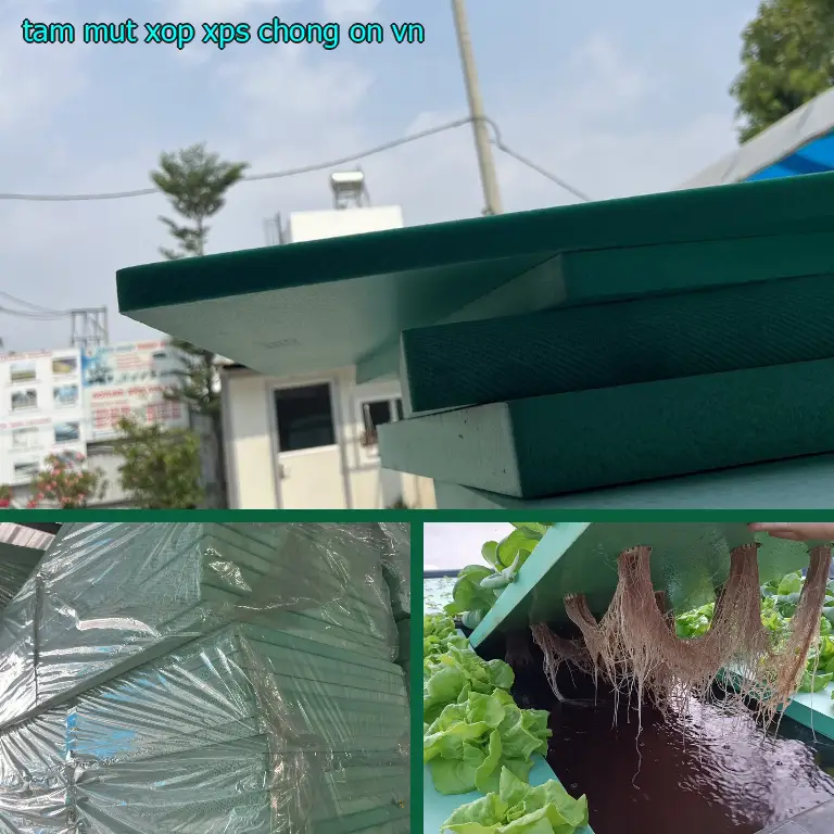 Tấm mút xốp XPS chống ồn VN