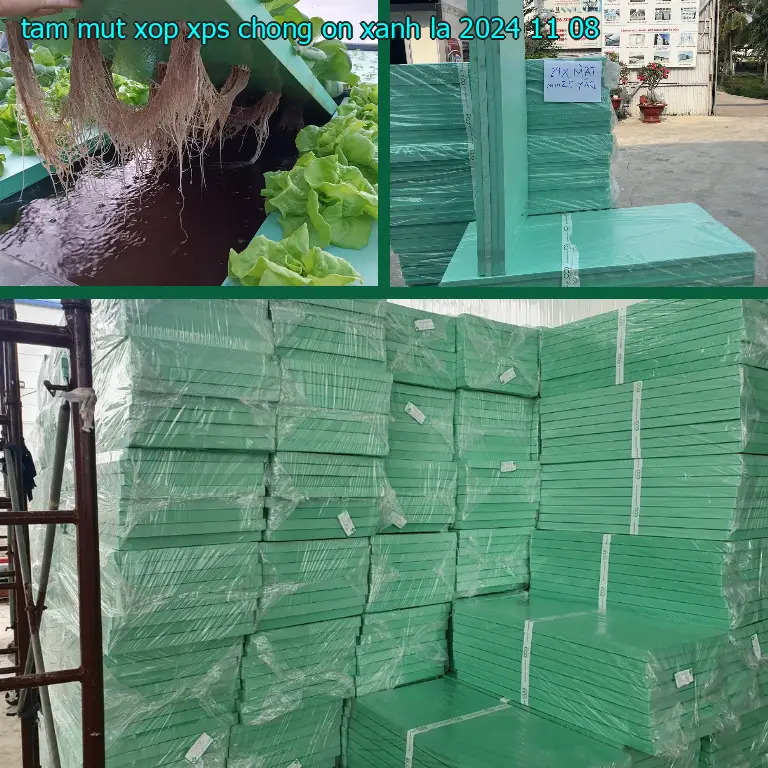 Ngày sản xuất tấm mút xốp XPS chống ồn Xanh lá: 2024-11-08 Ngày sản xuất tấm mút xốp XPS chống ồn Xanh lá: 2024-11-08