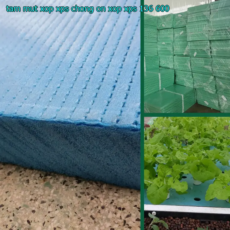 Đơn giá tấm mút xốp XPS chống ồn Xốp XPS: 136.600₫ Đơn giá tấm mút xốp XPS chống ồn Xốp XPS: 136.600₫
