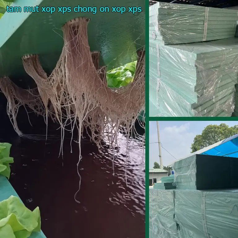 Tấm mút xốp XPS chống ồn Xốp XPS