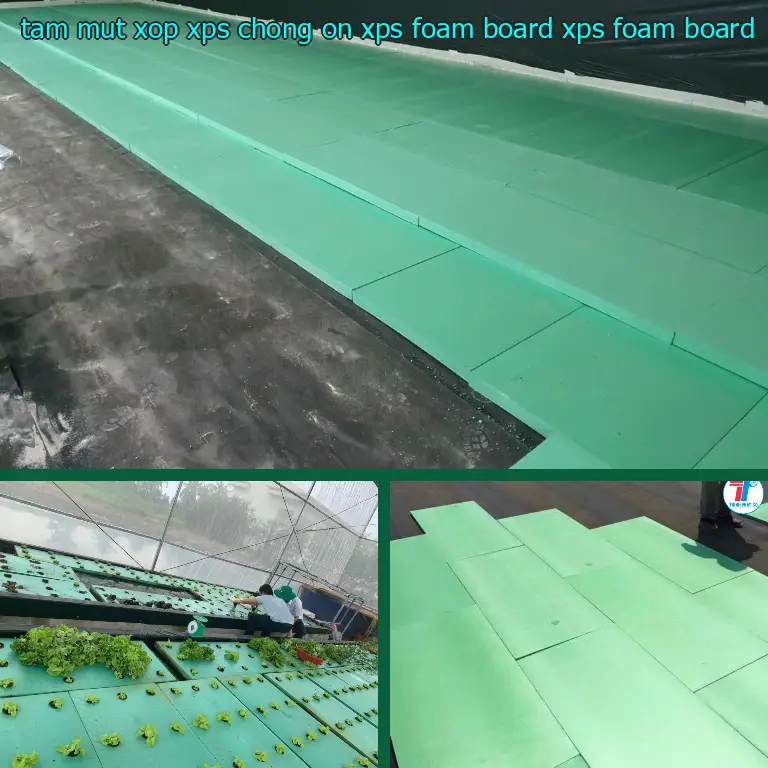 Danh mục tấm mút xốp XPS chống ồn XPS Foam Board: XPS Foam Board Danh mục tấm mút xốp XPS chống ồn XPS Foam Board: XPS Foam Board