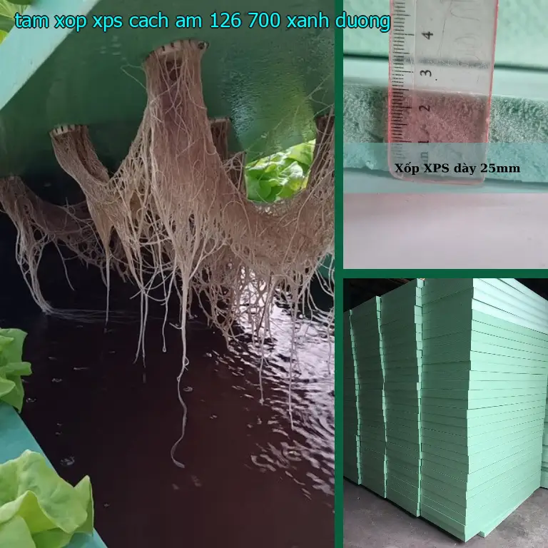 Màu sắc tấm xốp XPS cách âm 126.700₫: Xanh dương Màu sắc tấm xốp XPS cách âm 126.700₫: Xanh dương