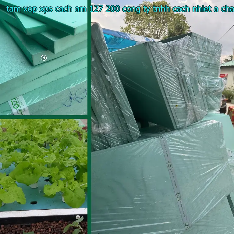 Nhà sản xuất tấm xốp XPS cách âm 127.200₫: Công ty TNHH cách nhiệt Á Châu Nhà sản xuất tấm xốp XPS cách âm 127.200₫: Công ty TNHH cách nhiệt Á Châu
