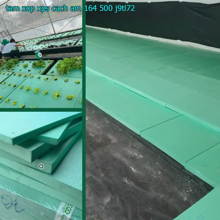 Model tấm xốp XPS cách âm 164.500₫: J9TL72 Model tấm xốp XPS cách âm 164.500₫: J9TL72