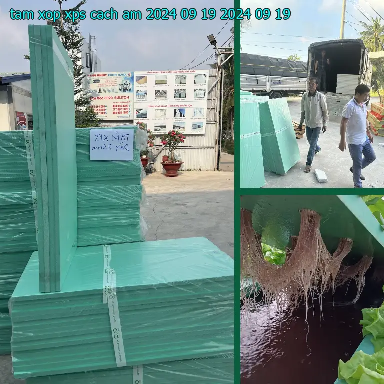 Ngày sản xuất tấm xốp XPS cách âm 2024-09-19: 2024-09-19