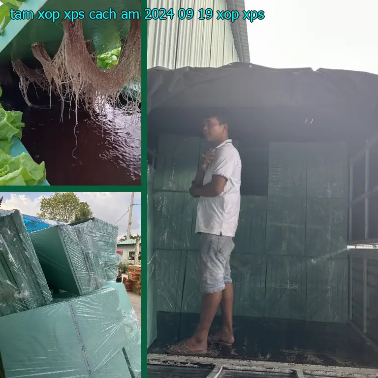 Danh mục tấm xốp XPS cách âm 2024-09-19: Xốp XPS
