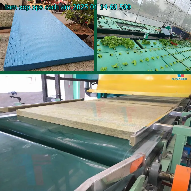 Giá tấm xốp XPS cách âm 2025-01-14: 60.500₫ Giá tấm xốp XPS cách âm 2025-01-14: 60.500₫