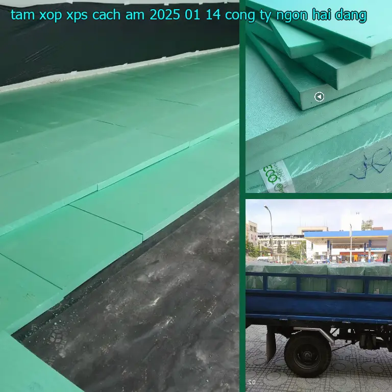 Nhà cung cấp tấm xốp XPS cách âm 2025-01-14: Công ty Ngọn Hải Đăng Nhà cung cấp tấm xốp XPS cách âm 2025-01-14: Công ty Ngọn Hải Đăng