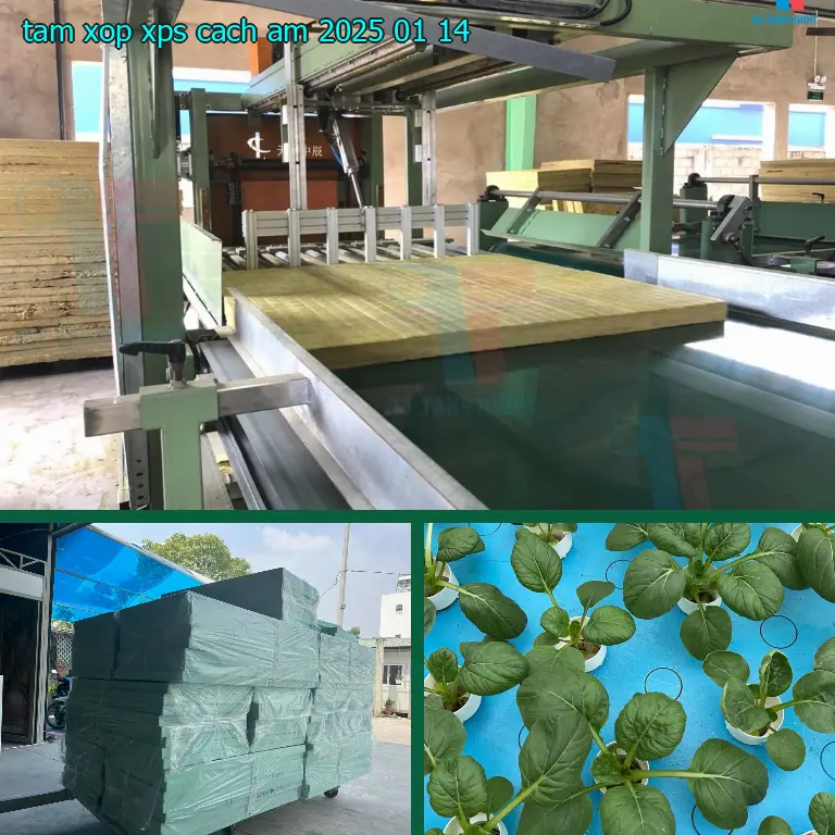 Tấm xốp XPS cách âm 2025-01-14