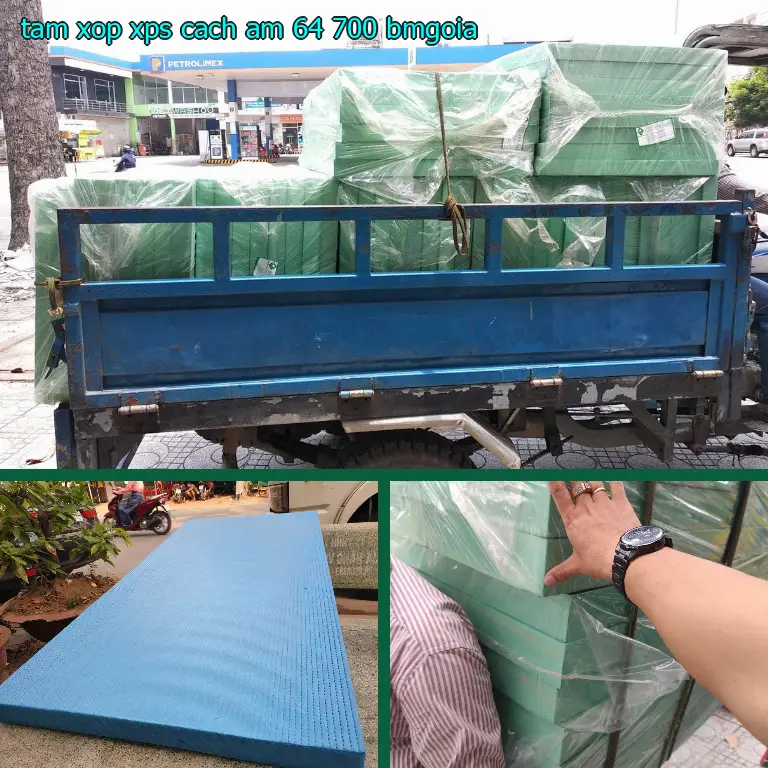 Model tấm xốp XPS cách âm 64.700₫: BMGOIA Model tấm xốp XPS cách âm 64.700₫: BMGOIA
