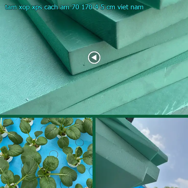 Xuất xứ tấm xốp XPS cách âm 70*170*4.5 cm: Viet Nam