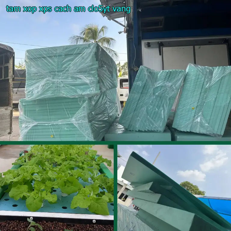Màu sắc tấm xốp XPS cách âm CLO5YT: Vàng Màu sắc tấm xốp XPS cách âm CLO5YT: Vàng