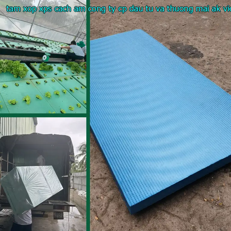 Nhà sản xuất tấm xốp XPS cách âm Công ty CP đầu tư và thương mại AK Việt Nam: Công ty CP đầu tư và thương mại AK Việt Nam Nhà sản xuất tấm xốp XPS cách âm Công ty CP đầu tư và thương mại AK Việt Nam: Công ty CP đầu tư và thương mại AK Việt Nam