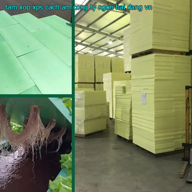 Xuất xứ tấm xốp XPS cách âm Công ty Ngọn Hải Đăng: VN Xuất xứ tấm xốp XPS cách âm Công ty Ngọn Hải Đăng: VN