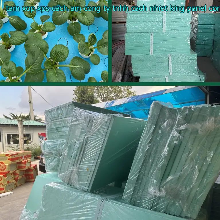 Nhà sản xuất tấm xốp XPS cách âm Công ty TNHH cách nhiệt King Panel: Công ty TNHH cách nhiệt King Panel Nhà sản xuất tấm xốp XPS cách âm Công ty TNHH cách nhiệt King Panel: Công ty TNHH cách nhiệt King Panel