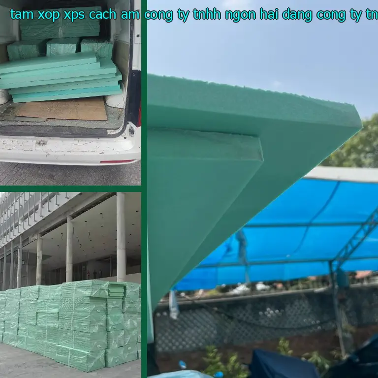 Nhà cung cấp tấm xốp XPS cách âm Công ty TNHH Ngọn Hải Đăng: Công ty TNHH Ngọn Hải Đăng Nhà cung cấp tấm xốp XPS cách âm Công ty TNHH Ngọn Hải Đăng: Công ty TNHH Ngọn Hải Đăng