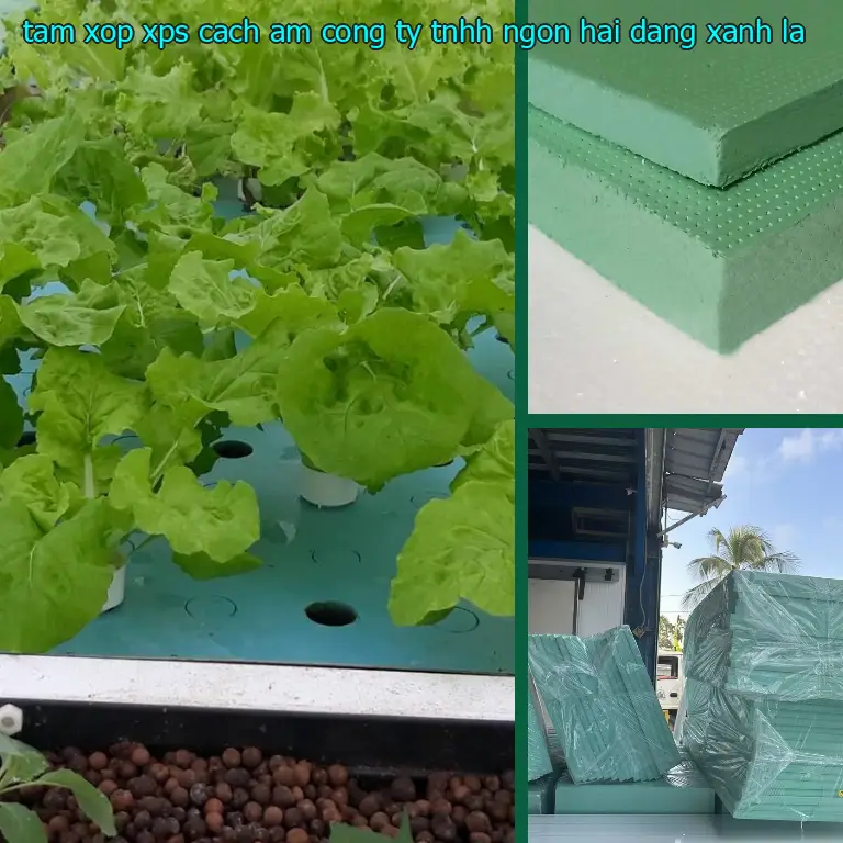 Màu sắc tấm xốp XPS cách âm Công ty TNHH Ngọn Hải Đăng: Xanh lá Màu sắc tấm xốp XPS cách âm Công ty TNHH Ngọn Hải Đăng: Xanh lá