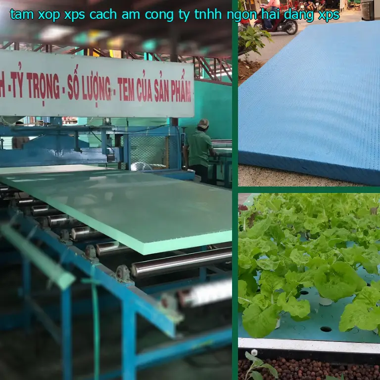 Chất liệu tấm xốp XPS cách âm Công ty TNHH Ngọn Hải Đăng: XPS Chất liệu tấm xốp XPS cách âm Công ty TNHH Ngọn Hải Đăng: XPS