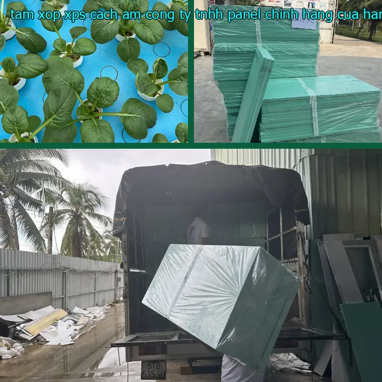 Nhà cung cấp tấm xốp XPS cách âm Công ty TNHH Panel Chính Hãng: Cửa hàng tấm xốp Mr.HẢI Nhà cung cấp tấm xốp XPS cách âm Công ty TNHH Panel Chính Hãng: Cửa hàng tấm xốp Mr.HẢI