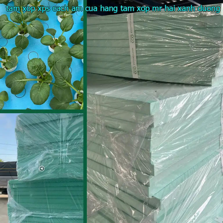 Màu sắc tấm xốp XPS cách âm Cửa hàng tấm xốp Mr.HẢI: Xanh dương Màu sắc tấm xốp XPS cách âm Cửa hàng tấm xốp Mr.HẢI: Xanh dương